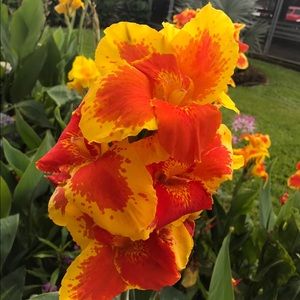 Meet your Posher, Julia